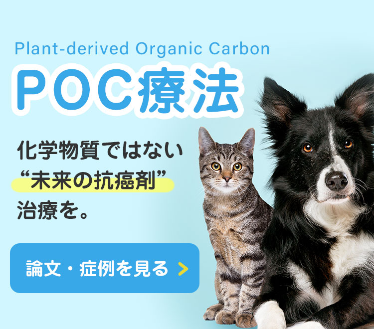【POC療法】化学物質ではない“未来の抗癌剤”治療を。いすみ動物病院では、POCを用いた最先端の療法を、愛犬・愛猫のQOL（生活の質）に配慮した癌治療の一つとして採用しています。多くの症例でPOC療法の有効性が確認され、副作用などトラブルがないことも確認されています。POCについての論文・症例はこちら。